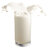 Bone Juice