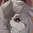 graywolf88