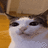 wlan0
