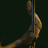 pussy raptor