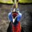 Cassowary