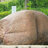 AssRock