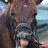 SmartyJones