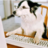 Chantal's YouTube Agent