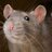Big Smelly Sewer Rat
