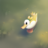 Sick my duck