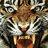 Tigga