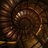 Spiral Stairs