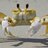 Crab Zone