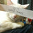 Kets