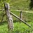 FencePost