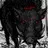 RazorBackBacon