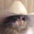 Catsy Cline