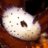 Critter