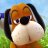 Duck Hunt