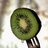 Inconspicuous Kiwi