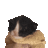 ByteMe