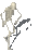 Sodomitic Necro-Coochie