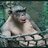 SlightlyOversizedPrimate