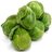 Brussels Sprout