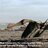 The Ornithocheirus