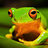 Ribbit