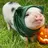 Piglet