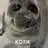 Kotik