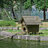 duckshelter