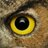 The eternal eye