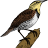 Lark