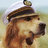 norrington