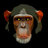 Bewildered Ape