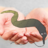Worm on String