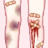 Anemic Royalty