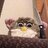 furbyknife