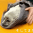 Sealbaby