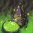 Toad Wizard