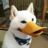 Duck Puppy