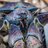Coconut Crab