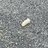 forgotten corn