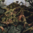 Moss Monster