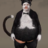 Catboys the Musical